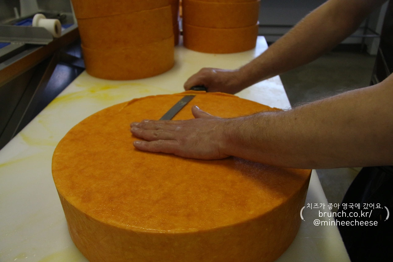 01.라드 작업 전 치즈 테두리 다듬기 (1).JPG