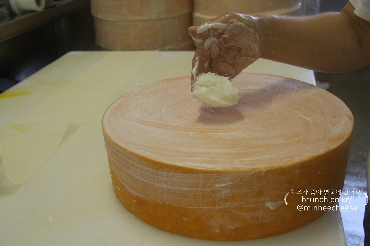 1. 모슬린 라드 작업 (1).JPG