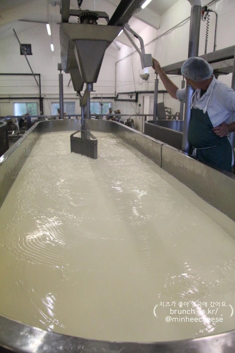 1. 베트에 우유 채우기, 레닛 넣기 (5)-1.JPG