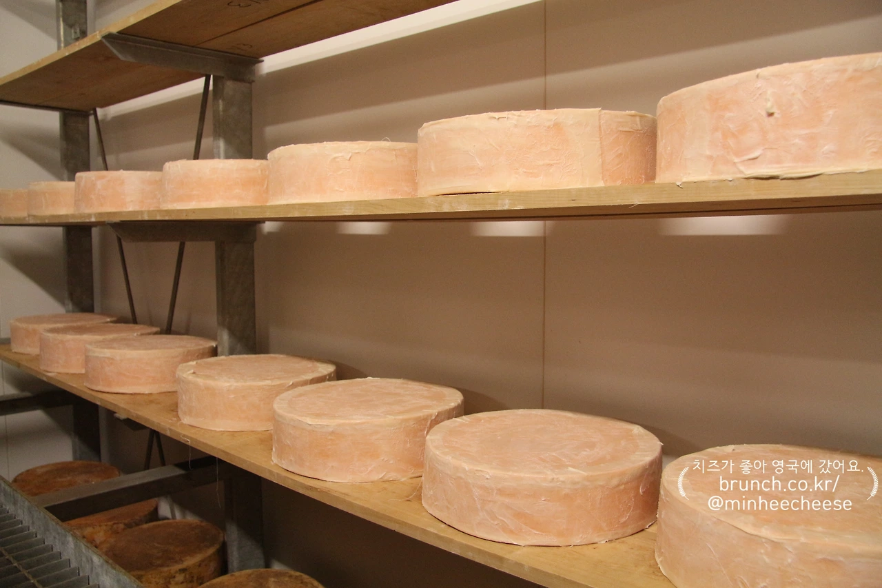 8.라드 모슬린 완성 후 숙성실 이동  (7).JPG