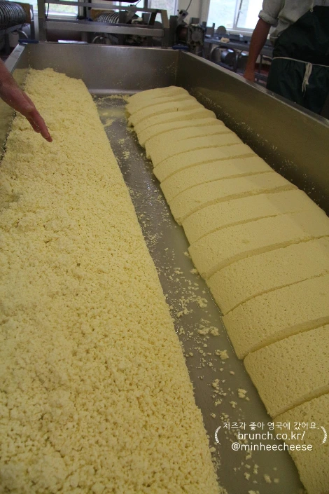 2. 알갱이 커드 블록으로 자르기 (1)-1.JPG