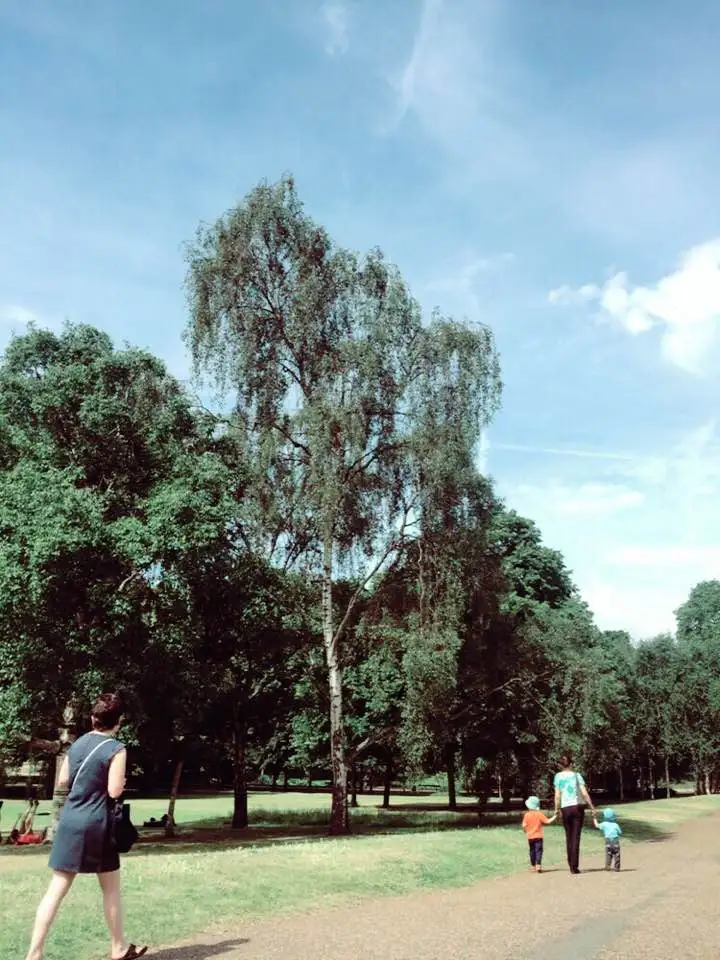 1435621095582 (1).jpeg