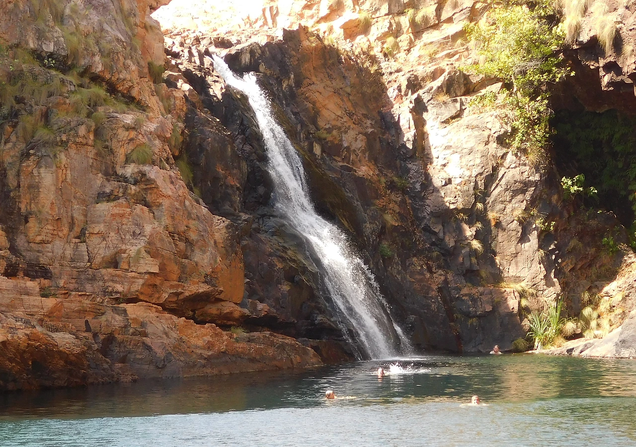 kakadu4.JPG