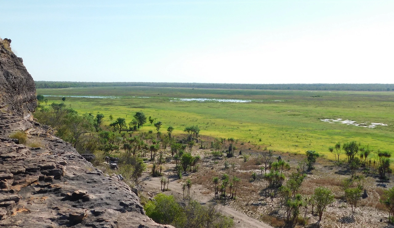kakadu9.JPG