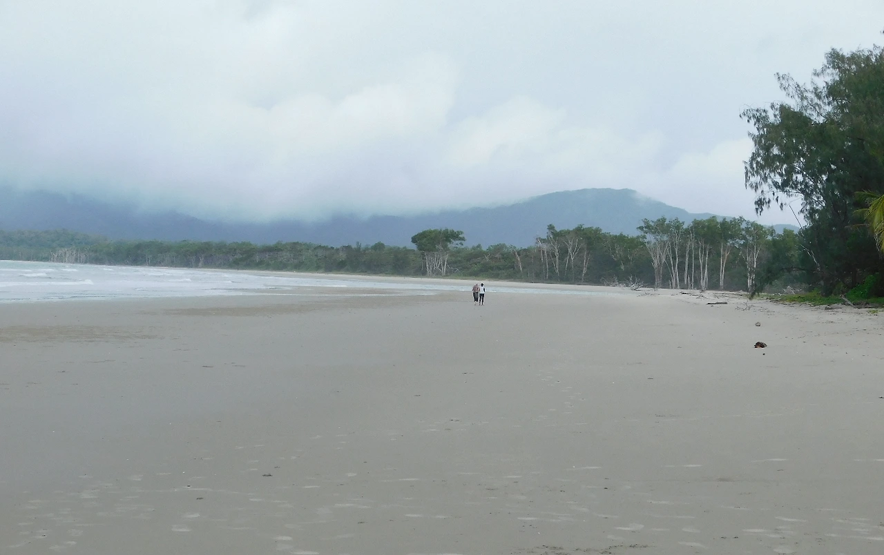 cape tribulation8.JPG