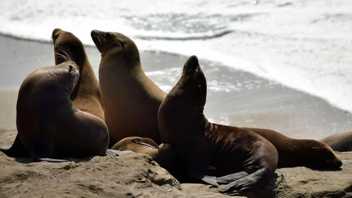 fdbUd0151icuqb2egtzq9_ocxokp.jpg?type=e1920_std