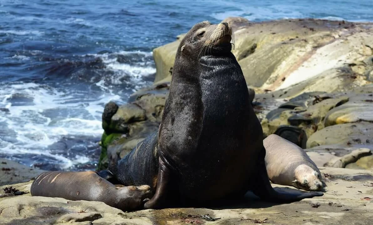 5hiUd0151004l93ki2fyn_ocxokp.jpg?type=e1920_std