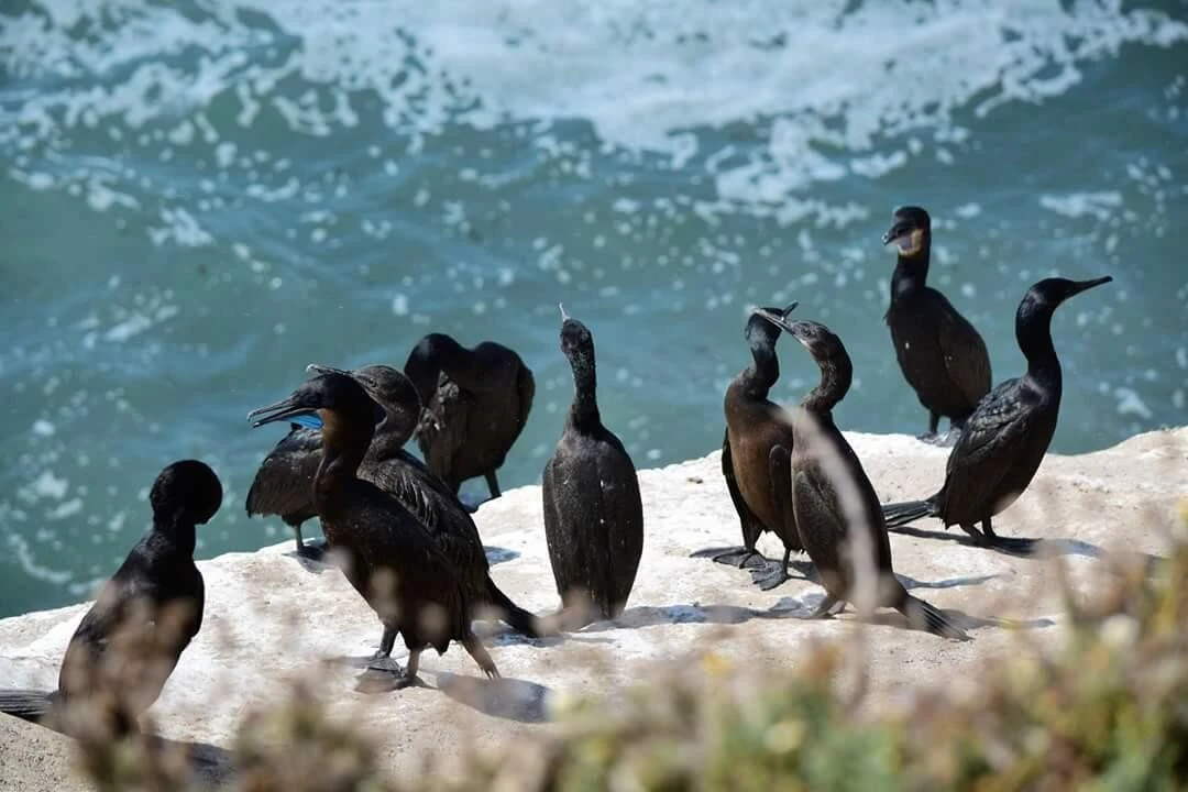 2g8Ud015s1xpwmseh3hw_ocxokp.jpg?type=e1920_std