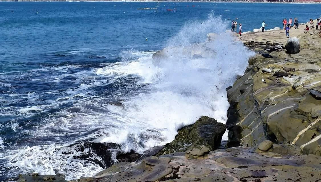 dc8Ud015floi05h9rbcp_ocxokp.jpg?type=e1920_std