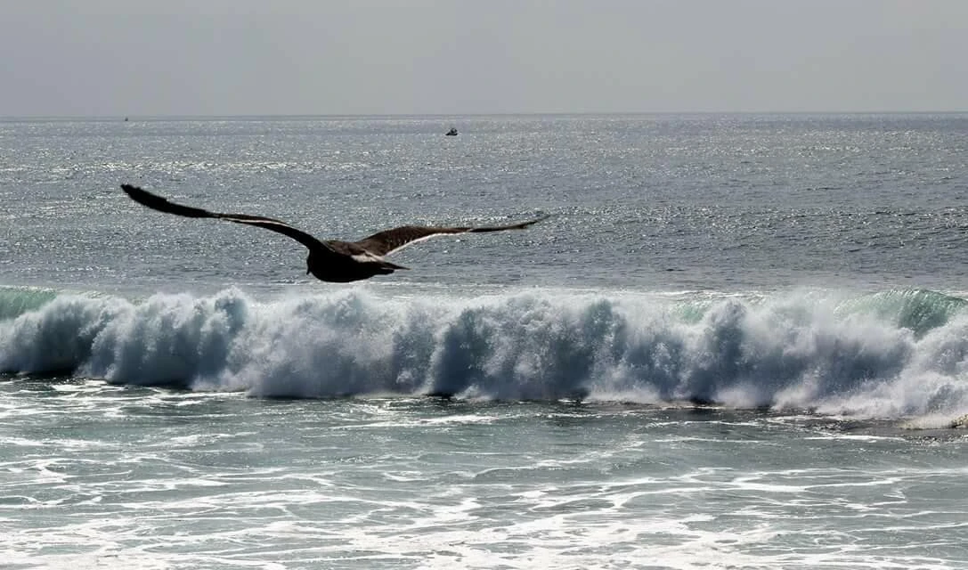 20jUd015rwu3tgjlkk29_ocxokp.jpg?type=e1920_std