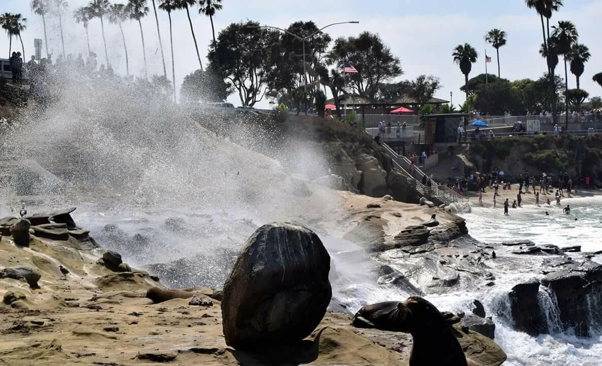 ej0Ud015enyk6nhpa1xg_ocxokp.jpg?type=e1920_std