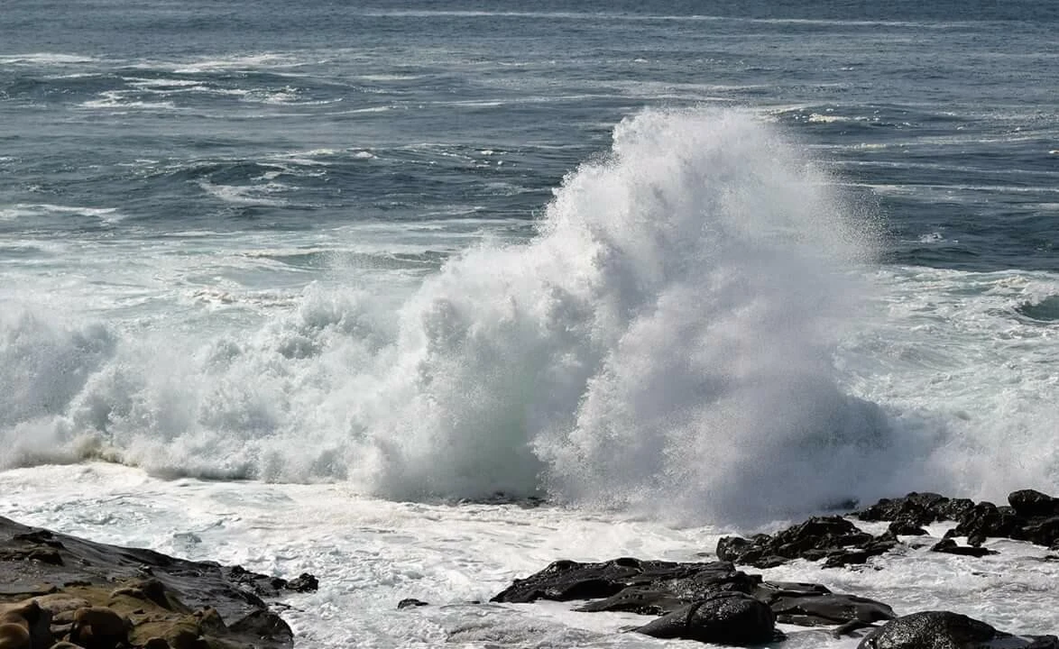 4i2Ud0151s6a97gua92yw_ocxokp.jpg?type=e1920_std