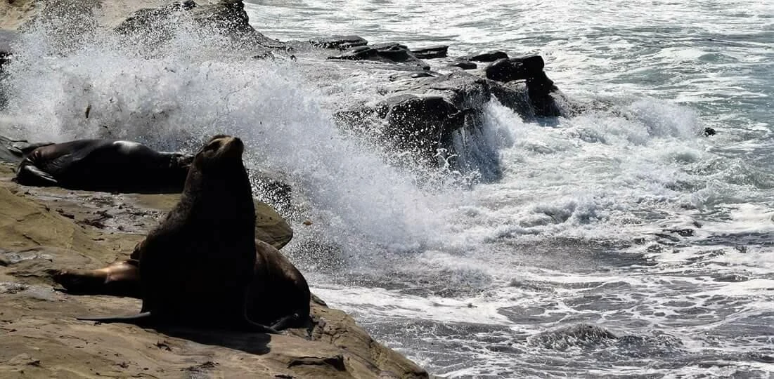 hb3Ud015otps0xttdup6_ocxokp.jpg?type=e1920_std