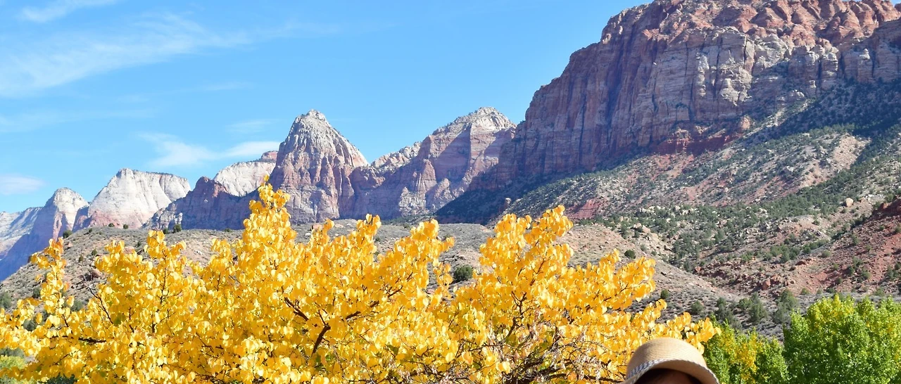 4_5gfUd018svc1pio0analknvc_s7k4b1.jpg?type=e1920_std