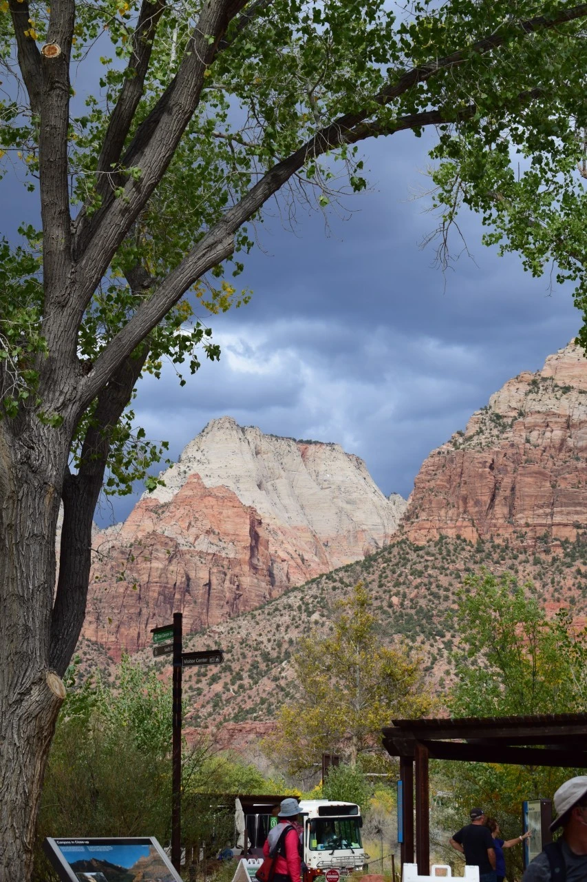 a_1ggUd018svcsxlss2ru3fbi_s7k4b1.jpg?type=e1920_std