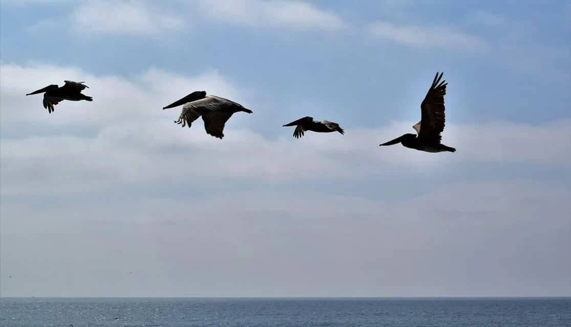 3b6Ud01523ntb3fqhe29_ocxokp.jpg?type=e1920_std