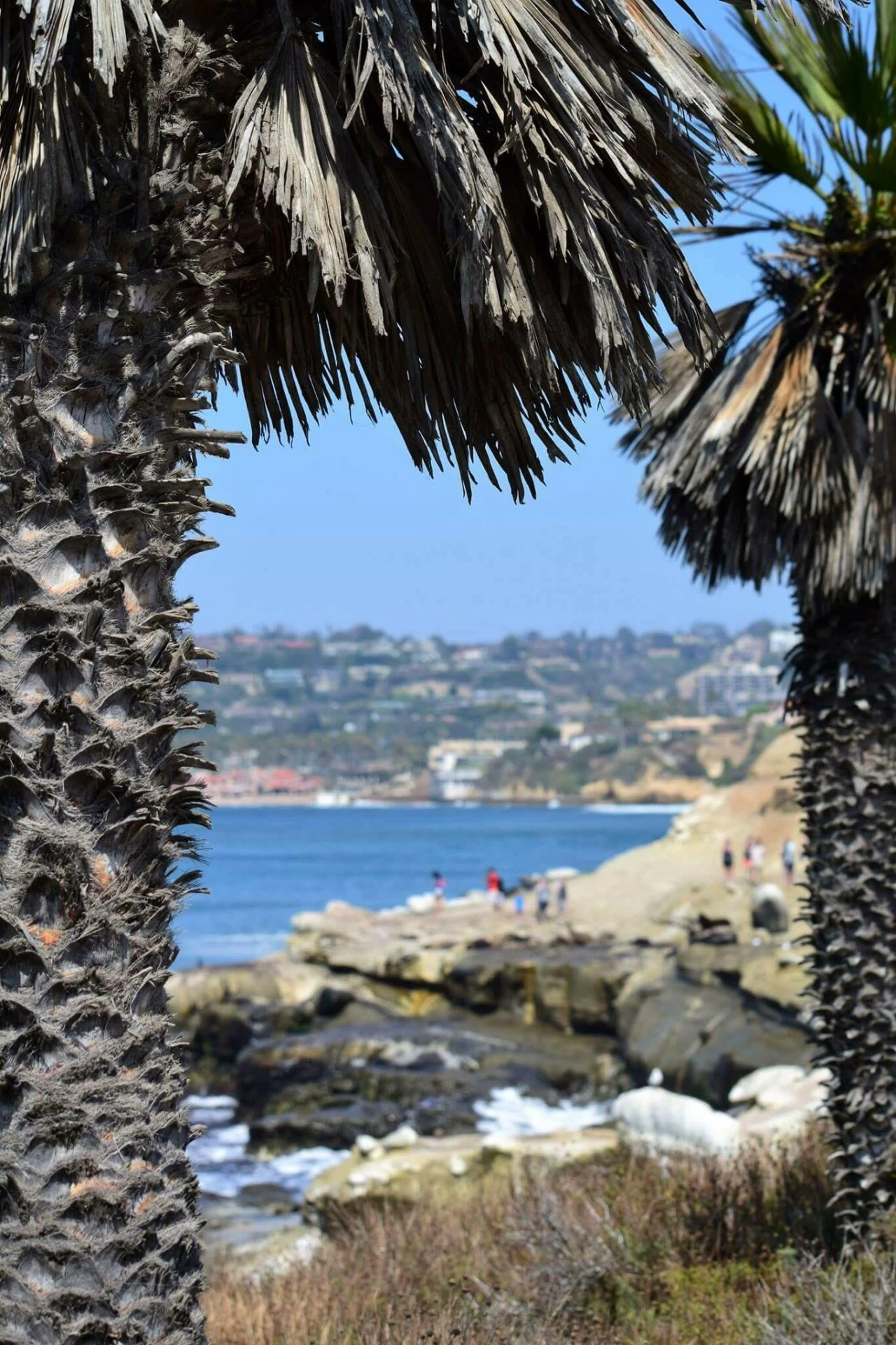 1faUd0151kgim6tmivs8_ocxokp.jpg?type=e1920_std