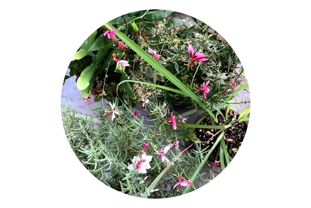 013 정수련 글.jpeg