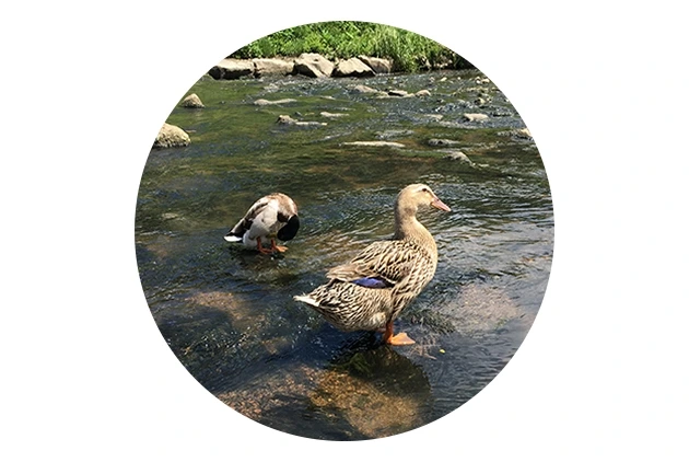 009 황집중 글.jpeg