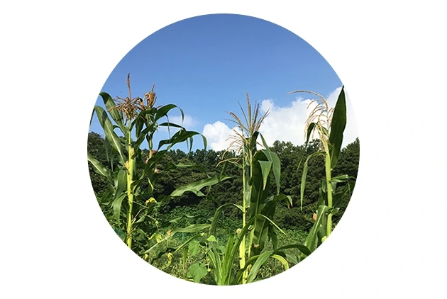 012 황집중 글.jpeg