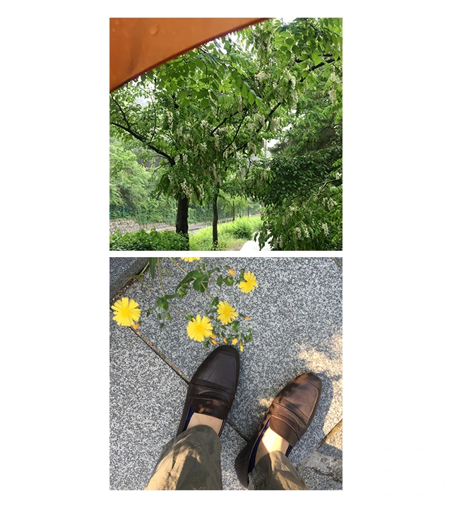 010 이기운 03.jpeg