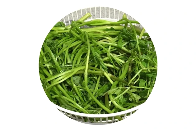 007 황집중 글.jpeg