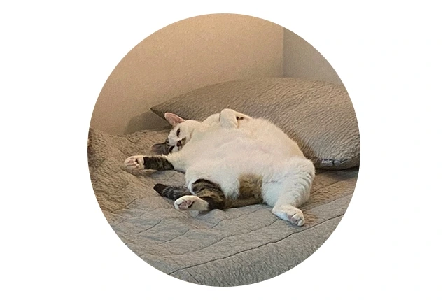 012 박연습 글.jpeg