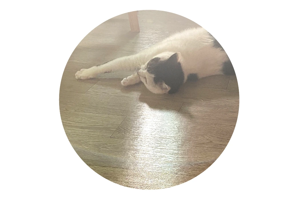 004 박연습 글.jpeg