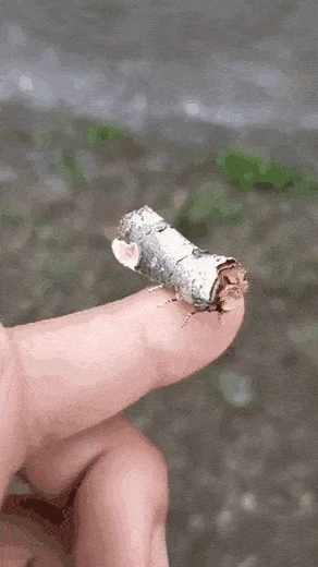 17a839c76f510f526_%281%29.gif?type=w1600