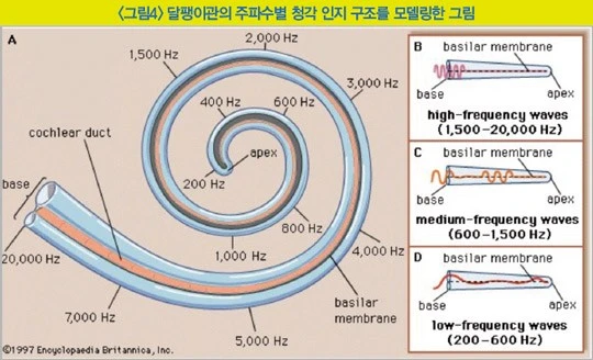 b8a2ee5b5960ad91f3fec58bc4a9fc90.jpg?type=w1600