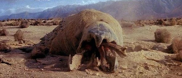 b15fc914f9f3c2.jpg?w=780&amp;h=30000