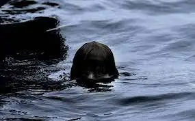 5c981cb04c4336.jpg?w=780&amp;h=30000