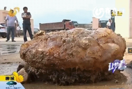 b15fc49a2a19a2.png?w=780&amp;h=30000