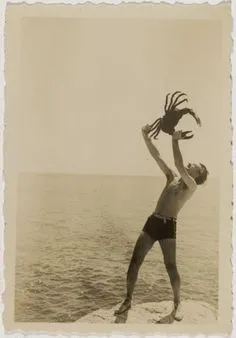 dali_beach.jpg?type=w1