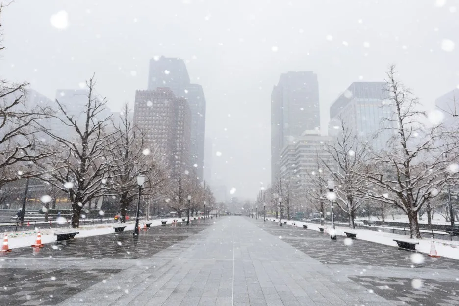 AdobeStock_190786953.jpeg?type=w1