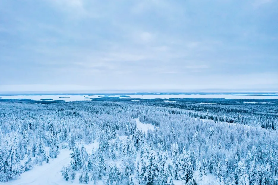 AdobeStock_670999301.jpeg?type=w1