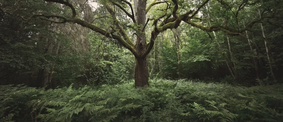 AdobeStock_467878277.jpeg?type=w1