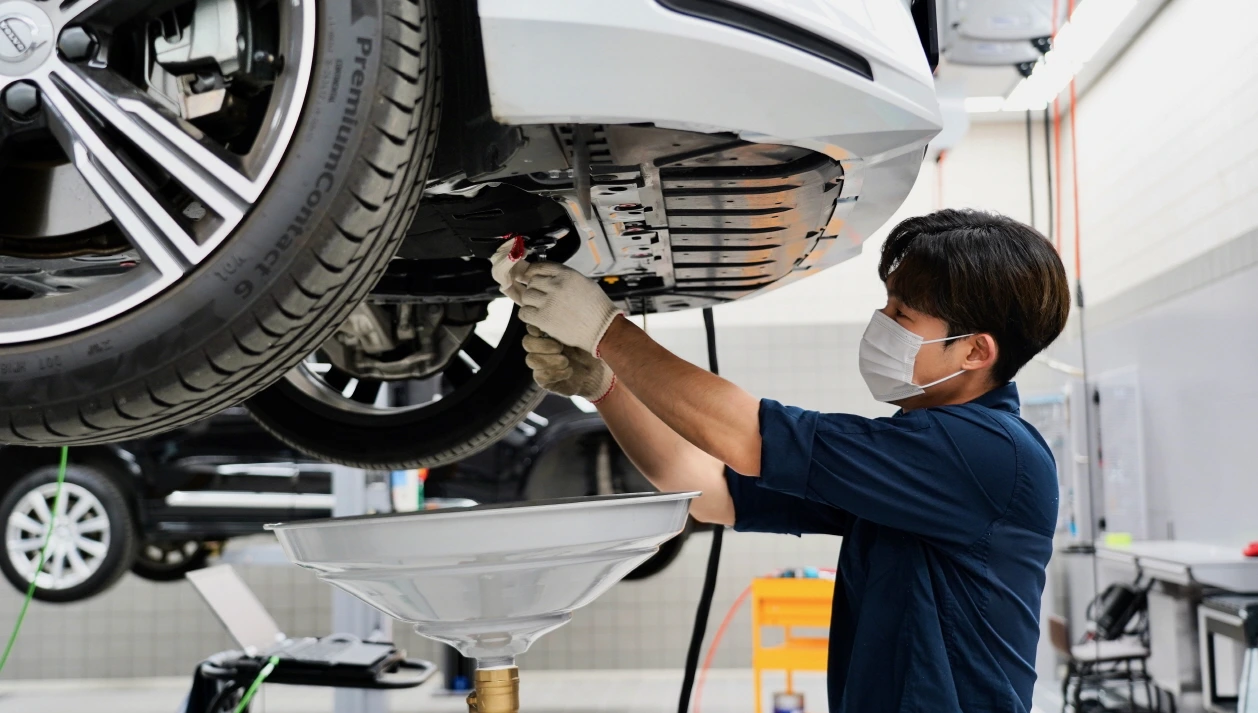 DSC06480 (1)small size.jpeg