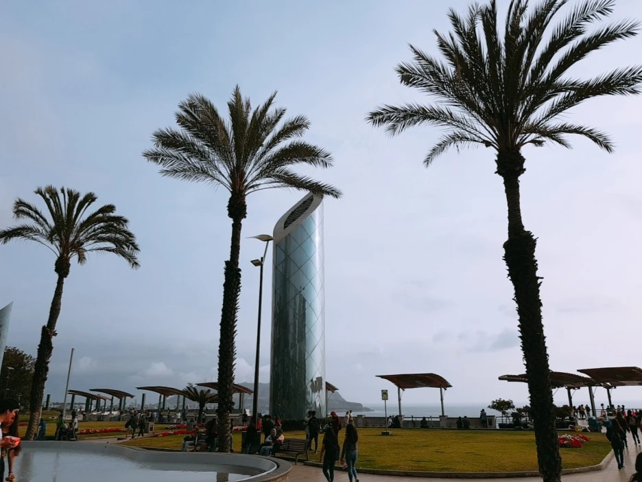 B612_20191123_165616_052.jpg?type=w1