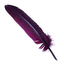 download.jpg?type=w1