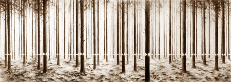 33.Line+_+Pencil+on+paper+_+50+x+140+cm+_+2012+.jpg?type=w1