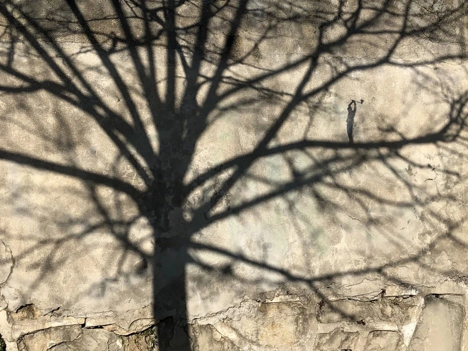 Termites.jpg?type=w1