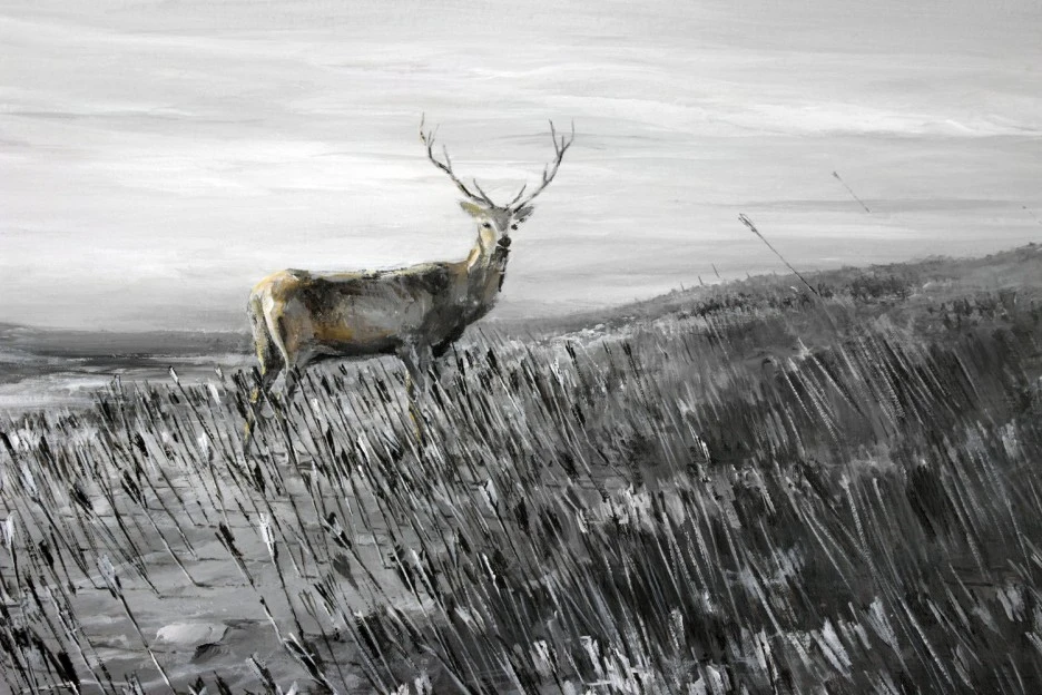 17.Meadow+_+Acrylic+on+canvas+_+200+x+150+cm+_+2015+b.jpg?type=w1