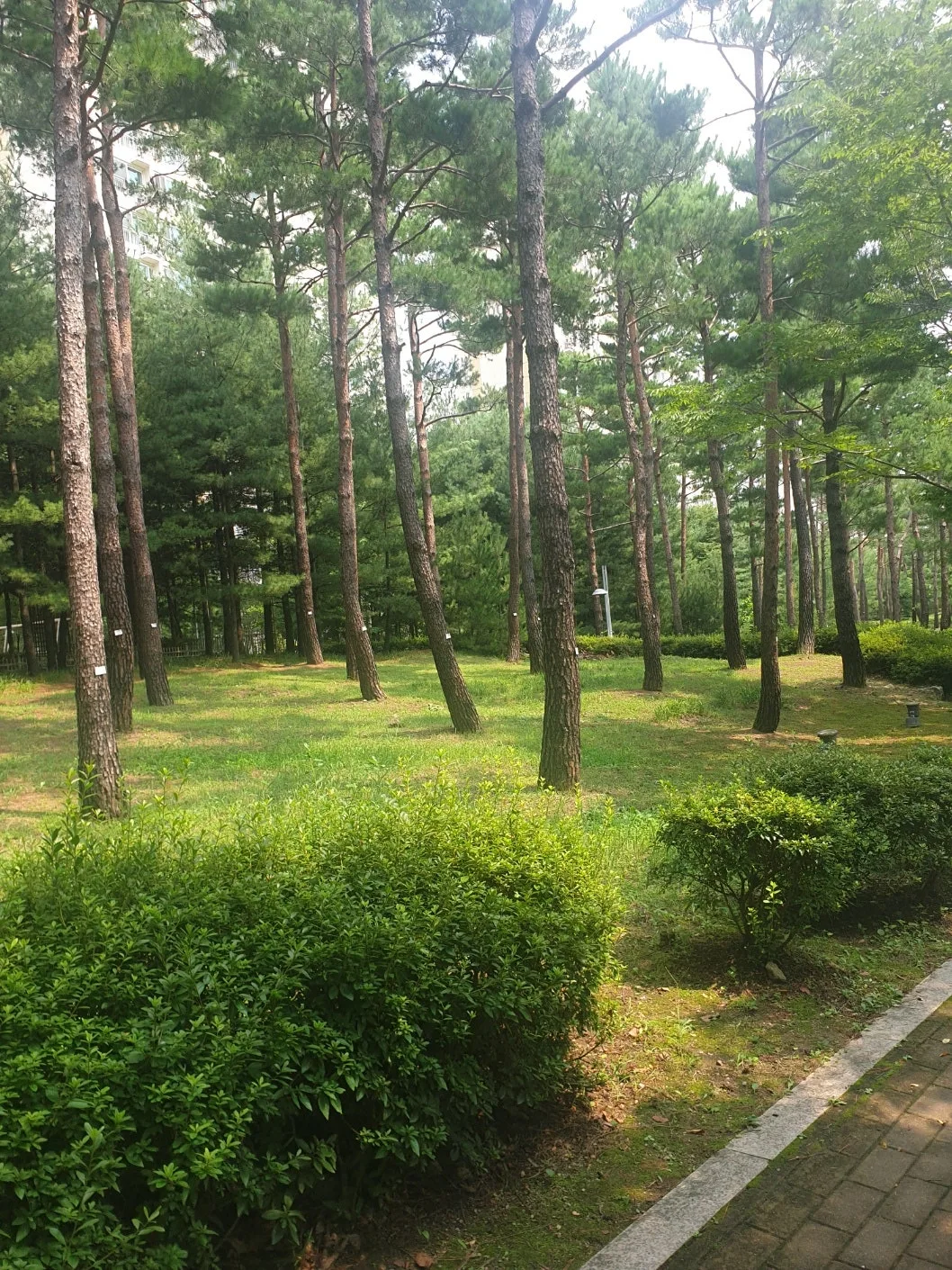 %EB%AC%BC4.jpg?type=w1600