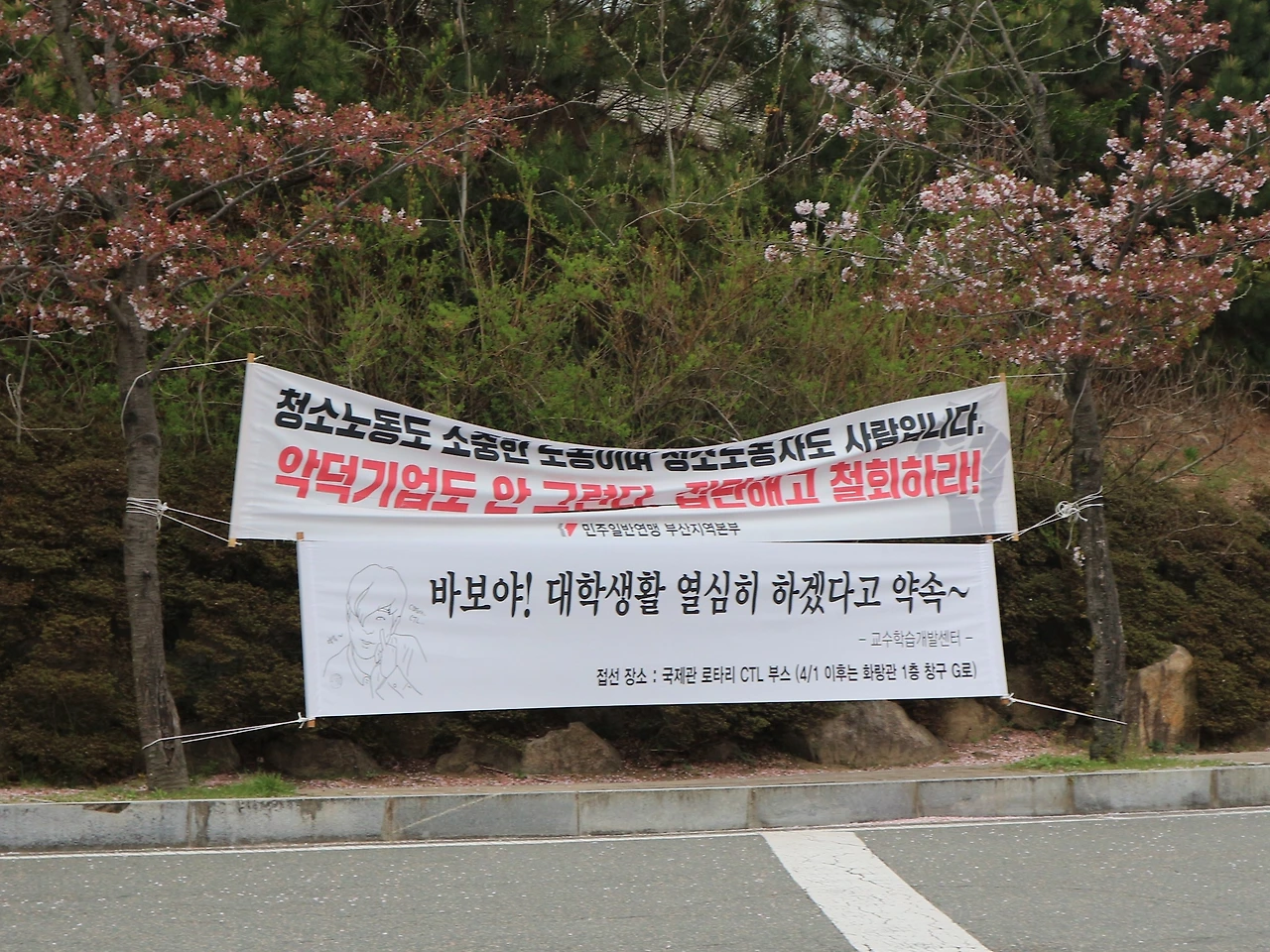 18. 신라대 - 그림5.JPG