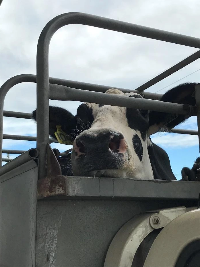 1OBHywysyC8AjrL3PUnbnCX-CJezE7mFcnWKpyFfYBz4cpTpGoo0jPBc5vxoK175TrJI59cF0nQ4OKuG5tWsUME10tB5k_T7WzpPyOrn9CGBpdaxDht7UmgEy8MmQ4Lv8lPA0UWLLcGObNOykZeS6w