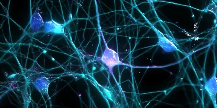 xt7cWazgw0RAxzgfaQAyVOl9oeNoHzK2ZWnQzcCsmeJeOdOt4ZIKYHF3k-ZtltfVUO4qEjFceUmBaBCaIVqxoSLZNmH8dOmDWHDm9KrfLNPEicOtqe2g_c-y5kxtEM3XnQwEmAm9