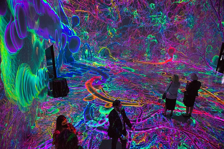 ofzMLsHda5WiWDrcfVZQckNjvIG6rFafyiP0PJl-9qRrZm8YwDVnHySVk0wVXDgEvXfCuhfXPT4fCf6BBinZLzukmETM1xsPPu1Pd0bHJ8Qe7n4m06igXkfe10TKjNyVoJ7IrG6V