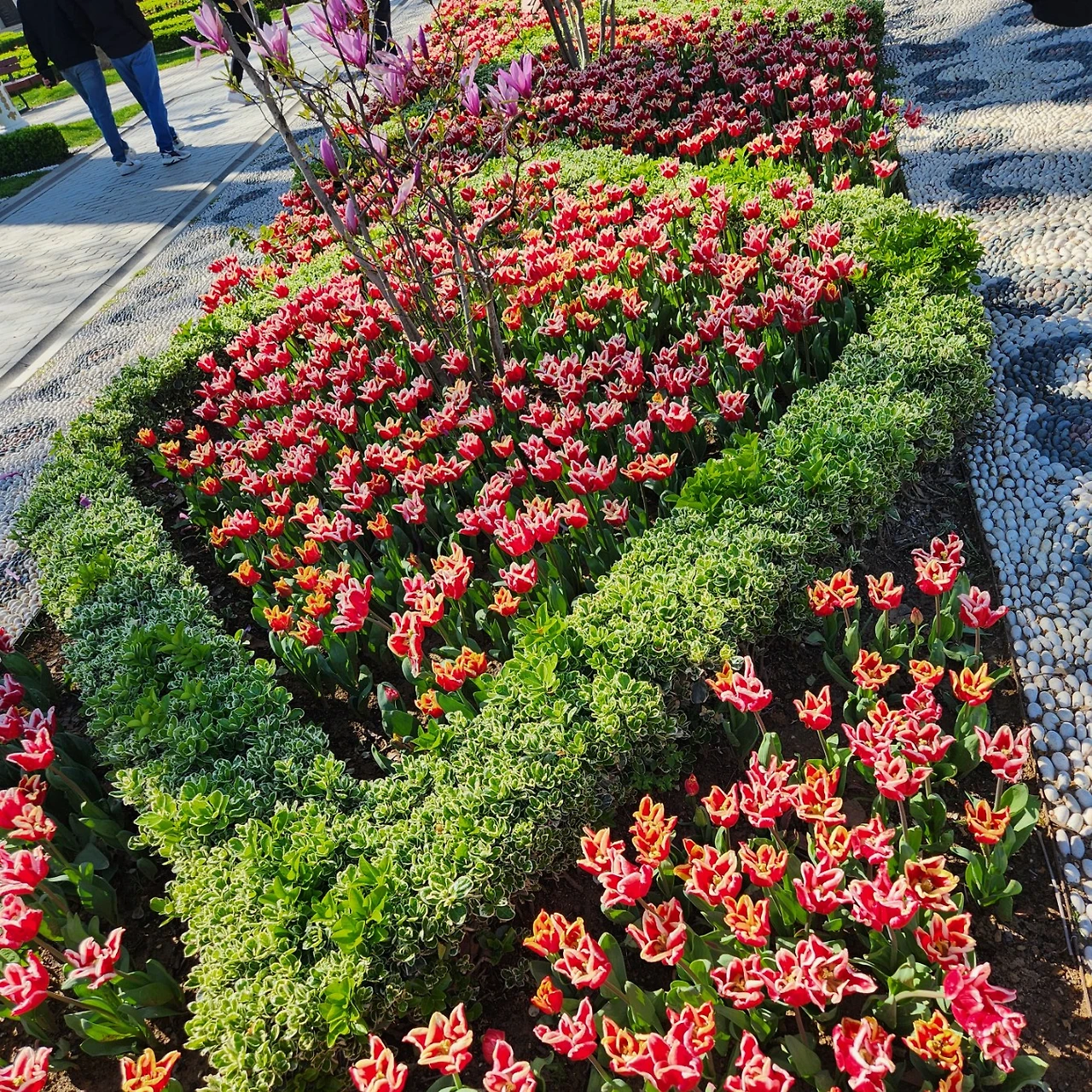 KakaoTalk_Photo_2023-04-09-21-40-21 012.jpeg