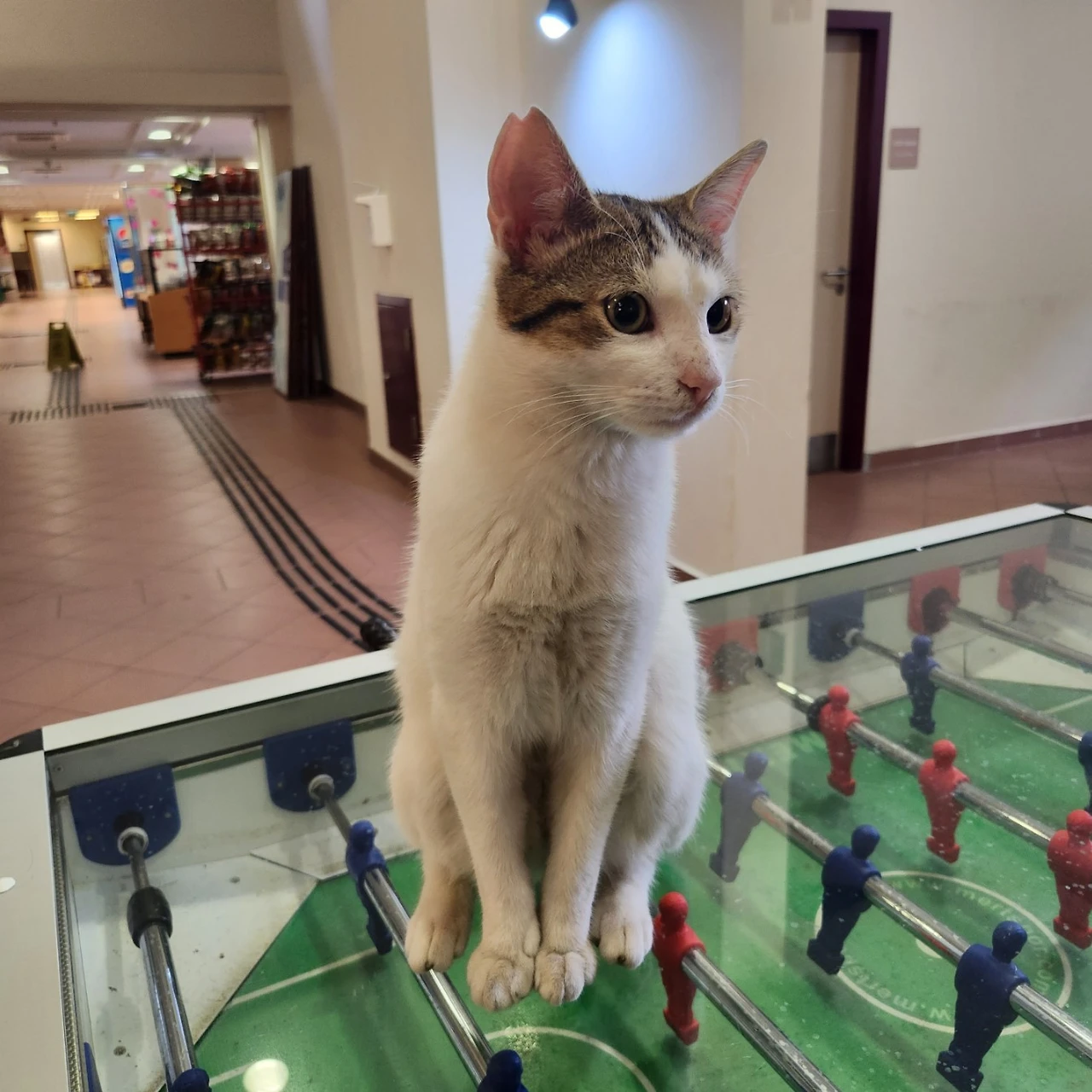 KakaoTalk_Photo_2023-04-02-16-24-59 006.jpeg